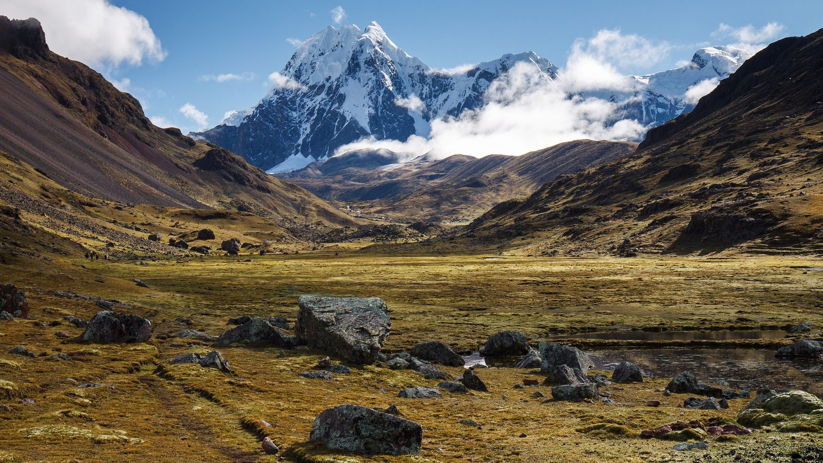Circuito del Ausangate: los glaciares del Ausangate (6384 m) sobre un valle altoandino del trekking, Cordillera Vilcanota, Cusco, Perú