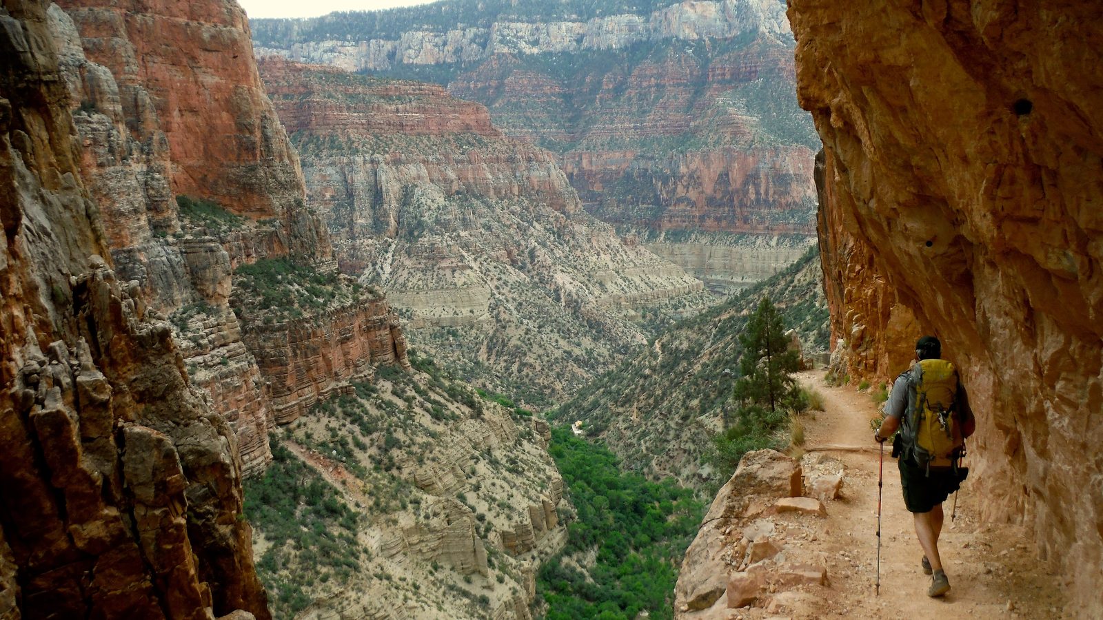 Grand Canyon Rim to Rim: der North Kaibab Trail, in die Klippen aus Redwall-Kalkstein unterhalb des North Rim gehauen, Grand Canyon National Park, Arizona