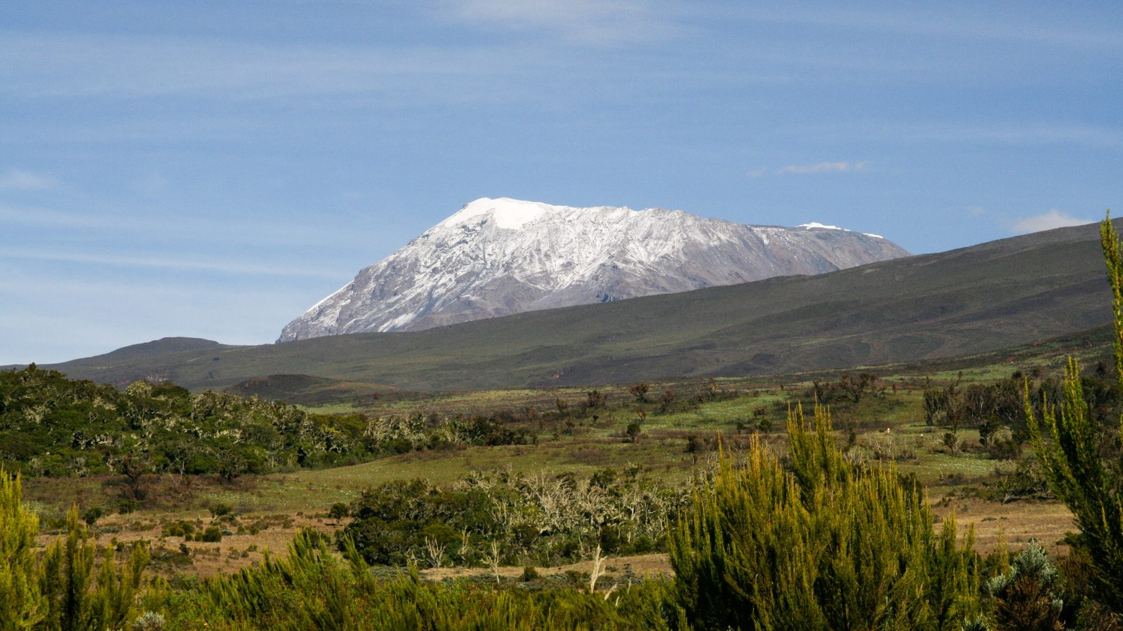 Kilimanjaro Marangu Route: Kibo, the snow-capped summit cone of Kilimanjaro (5,895 m), above the moorland on the Marangu route, Kilimanjaro National Park, Tanzania