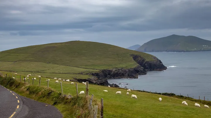 Dingle Way