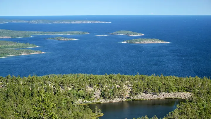 High Coast Trail