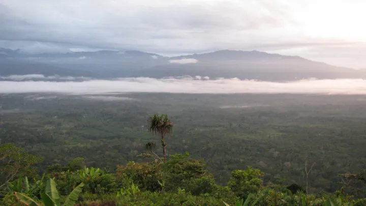 Kokoda Track