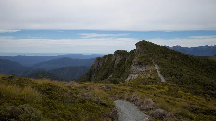 Paparoa Track