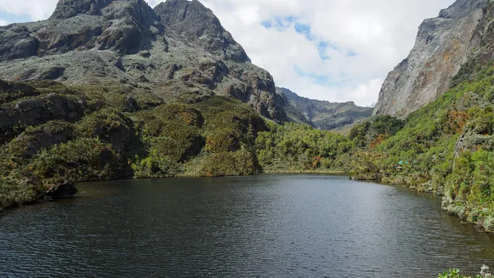 Rwenzori Central Circuit